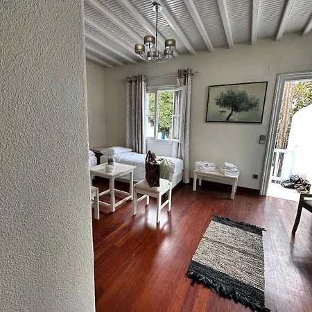Le Coq アパート Mykonos Town