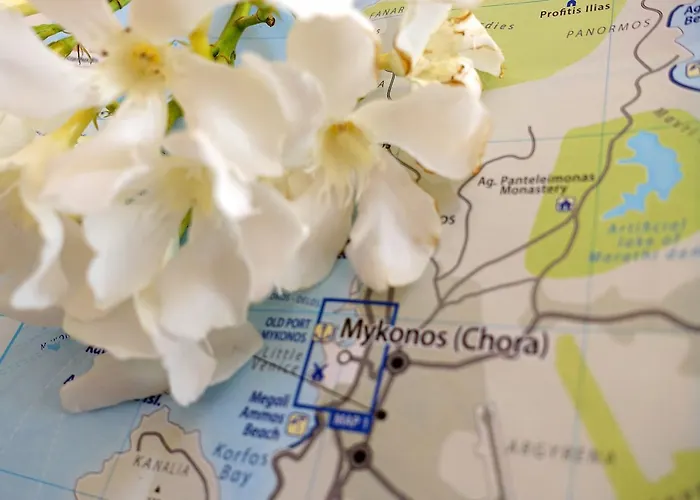 דירה Le Coq Mykonos Town