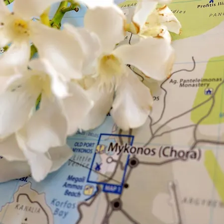 Appartement Le Coq Mykonos Town